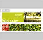 Turn on sound and view Flash template . . . .